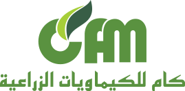 CAM logo
